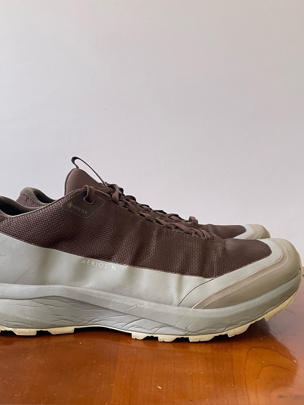 Arc'teryx Aerios FL 2 GTX Hiking Shoes | US 11